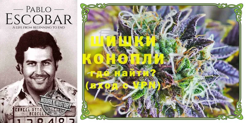 shop состав  Горбатов  Шишки марихуана THC 21%  как найти наркотики  кракен сайт 